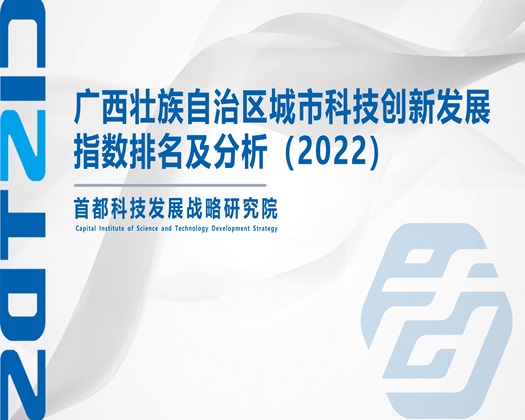 免费看操穴【成果发布】广西壮族自治区城市科技创新发展指数排名及分析（2022）